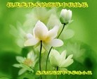 Published on 9/27/2015 ���ֹ�,��½�󷨵��ӹ�ףʦ�������(32��)
