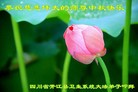 Published on 9/27/2015 ���ֹ�,��½�󷨵��ӹ�ףʦ�������(33��)
