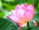 Published on 9/27/2015 ���ֹ�,��½�󷨵��ӹ�ףʦ�������(39��)
