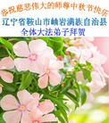Published on 9/27/2015 ���ֹ�,��½�󷨵��ӹ�ףʦ�������(31��)
