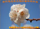 Published on 9/27/2015 ���ֹ�,��½�󷨵��ӹ�ףʦ�������(25��)
