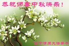 Published on 9/27/2015 ���ֹ�,��½�󷨵��ӹ�ףʦ�������(26��)
