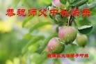 ֹ,մ󷨵ӹףʦ(24)
