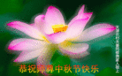 Published on 9/27/2015 ���ֹ�,���󷨵��ӹ�ףʦ�������(28��)

