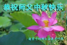 ֹ,մ󷨵ӹףʦ(24)
