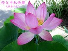 Published on 9/27/2015 ���ֹ�,��½�󷨵��ӹ�ףʦ�������(26��)
