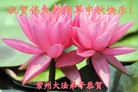 Published on 9/27/2015 ���ֹ�,��½�󷨵��ӹ�ףʦ��������֣�82����
