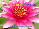 Published on 9/27/2015 ���ֹ�,��½�󷨵��ӹ�ףʦ��������֣�82����
