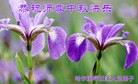 Published on 9/28/2015 ���ֹ�,��½�󷨵��ӹ�ףʦ������ã�66����
