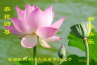 ֹ,ɶ󷨵ӹףʦ(21)
