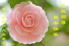 ֹ,ɶ󷨵ӹףʦ(21)
