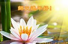 Published on 2/7/2016 ���ֹ�,��½�󷨵��ӹ�ףʦ�������(27��)

