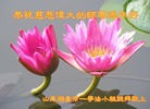 Published on 2/7/2016 ���ֹ�,��½�󷨵��ӹ�ףʦ�������(27��)

