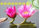 Published on 2/8/2016 ���ֹ�,��½�󷨵��ӹ�ףʦ�������(25��)

