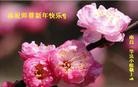 ֹ,󷨵ӹףʦ(27)
