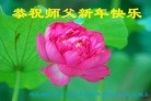 ֹ,󷨵ӹףʦ(22)
