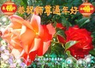 ֹ,󷨵ӹףʦ(20)
