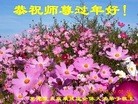 ֹ,󷨵ӹףʦ(19)
