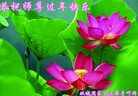 ֹ,󷨵ӹףʦ(18)

