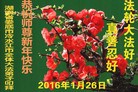 ֹ,ϴ󷨵ӹףʦ(23)
