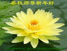 Published on 2/9/2016 ���ֹ�,����ҵ�󷨵��ӹ�ףʦ�������(35��)
