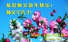 ֹ,ɶ󷨵ӹףʦ(25)
