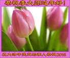 Published on 2/7/2016 ���ֹ�,��½���ո����־ʦ�����꣨38����

