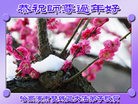 ֹ,󷨵ӹףʦ(22)
