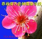 ���ֹ�,�ӱ��󷨵��ӹ�ףʦ���������(22��)
