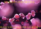 ֹ,󷨵ӹףʦ(22)
