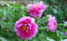 Published on 12/31/2016 ���ֹ�,����ϵͳ�󷨵��ӹ�ףʦ�������(21��)