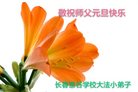 Published on 12/31/2016 ���ֹ�,����ϵͳ�󷨵��ӹ�ףʦ�������(21��)