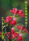 Published on 12/30/2016 ���ֹ�,����ҵ�󷨵��ӹ�ףʦ�������(32��)