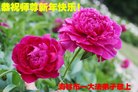 Published on 12/30/2016 ���ֹ�,��½�󷨵��ӹ�ףʦ�������(29��)