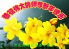 Published on 12/29/2016 ���ֹ�,��½�󷨵��ӹ�ףʦ�������(36��)
