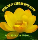 Published on 12/29/2016 ���ֹ�,��½�󷨵��ӹ�ףʦ�������(36��)