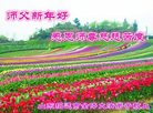 Published on 12/29/2016 ���ֹ�,��½�󷨵��ӹ�ףʦ�������(34��)