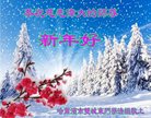 Published on 12/29/2016 ���ֹ�,��½�󷨵��ӹ�ףʦ�������(36��)