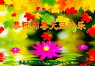 Published on 12/29/2016 ���ֹ�,��½�󷨵��ӹ�ףʦ�������(36��)