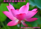 Published on 12/30/2016 ���ֹ�,����ҵ�󷨵��ӹ�ףʦ�������(29��)
