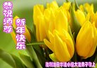 Published on 12/30/2016 ���ֹ�,����ҵ�󷨵��ӹ�ףʦ�������(29��)