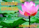Published on 12/30/2016 ���ֹ�,����ҵ�󷨵��ӹ�ףʦ�������(29��)
