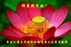 Published on 12/29/2016 ���ֹ�,��½�󷨵��ӹ�ףʦ�������(36��)
