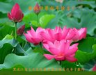 Published on 12/29/2016 ���ֹ�,��½�󷨵��ӹ�ףʦ�������(36��)