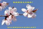 Published on 12/29/2016 ���ֹ�,��½�󷨵��ӹ�ףʦ�������(36��)