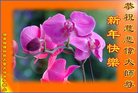 Published on 12/31/2016 ���ֹ�,����ϵͳ�󷨵��ӹ�ףʦ�������(21��)