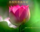 Published on 12/29/2016 ���ֹ�,��½�󷨵��ӹ�ףʦ�������(36��)