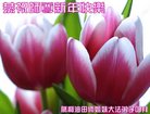 Published on 12/31/2016 ���ֹ�,����ҵ�󷨵��ӹ�ףʦ�������(33��)