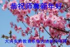 Published on 12/31/2016 ���ֹ�,����ϵͳ�󷨵��ӹ�ףʦ�������(21��)