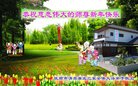 Published on 12/29/2016 ���ֹ�,��½�󷨵��ӹ�ףʦ�������(31��)